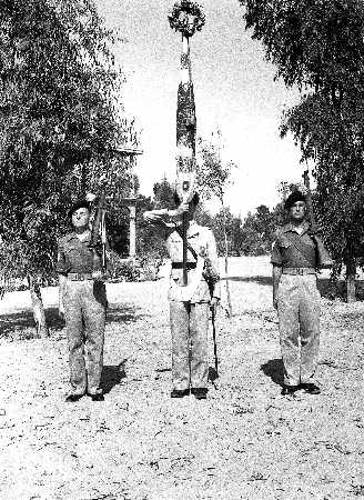 1 LF colour Troop 1951326